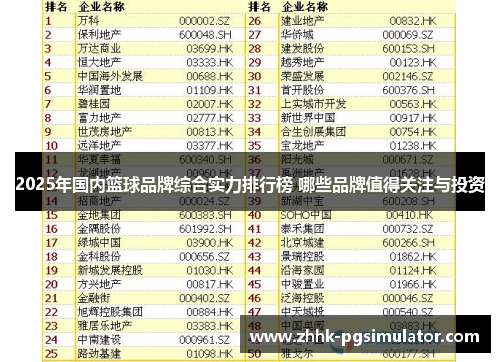 2025年国内篮球品牌综合实力排行榜 哪些品牌值得关注与投资