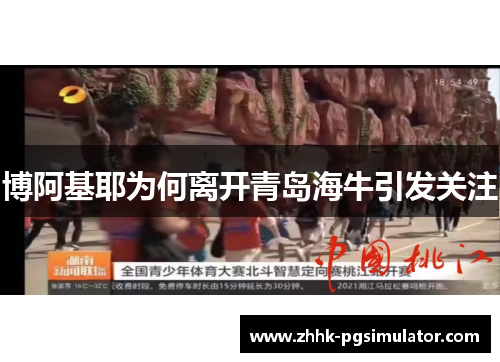 博阿基耶为何离开青岛海牛引发关注