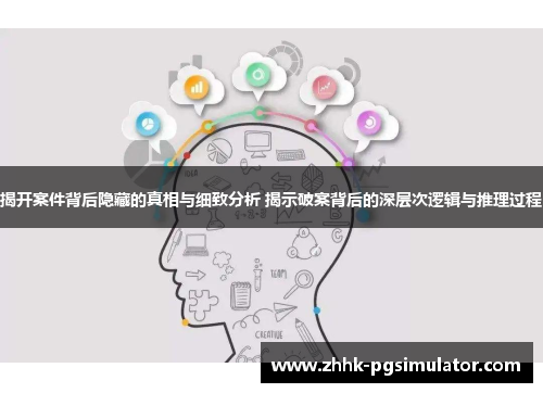 揭开案件背后隐藏的真相与细致分析 揭示破案背后的深层次逻辑与推理过程