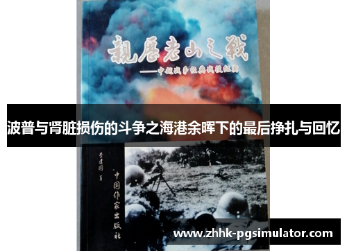 波普与肾脏损伤的斗争之海港余晖下的最后挣扎与回忆